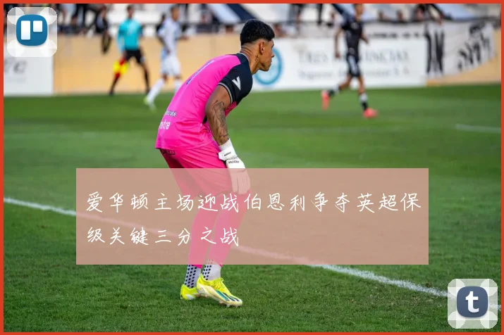 爱华顿主场迎战伯恩利争夺英超保级关键三分之战