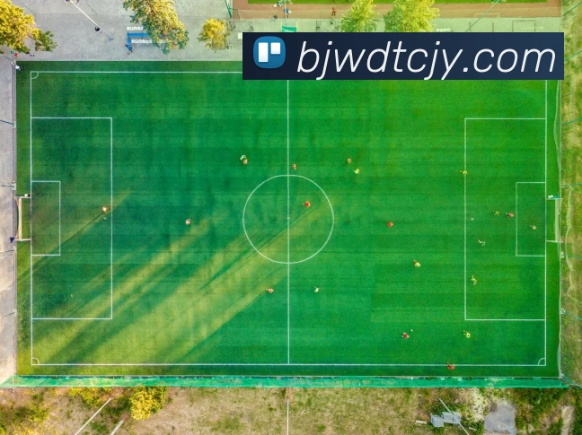 球速体育服务体系